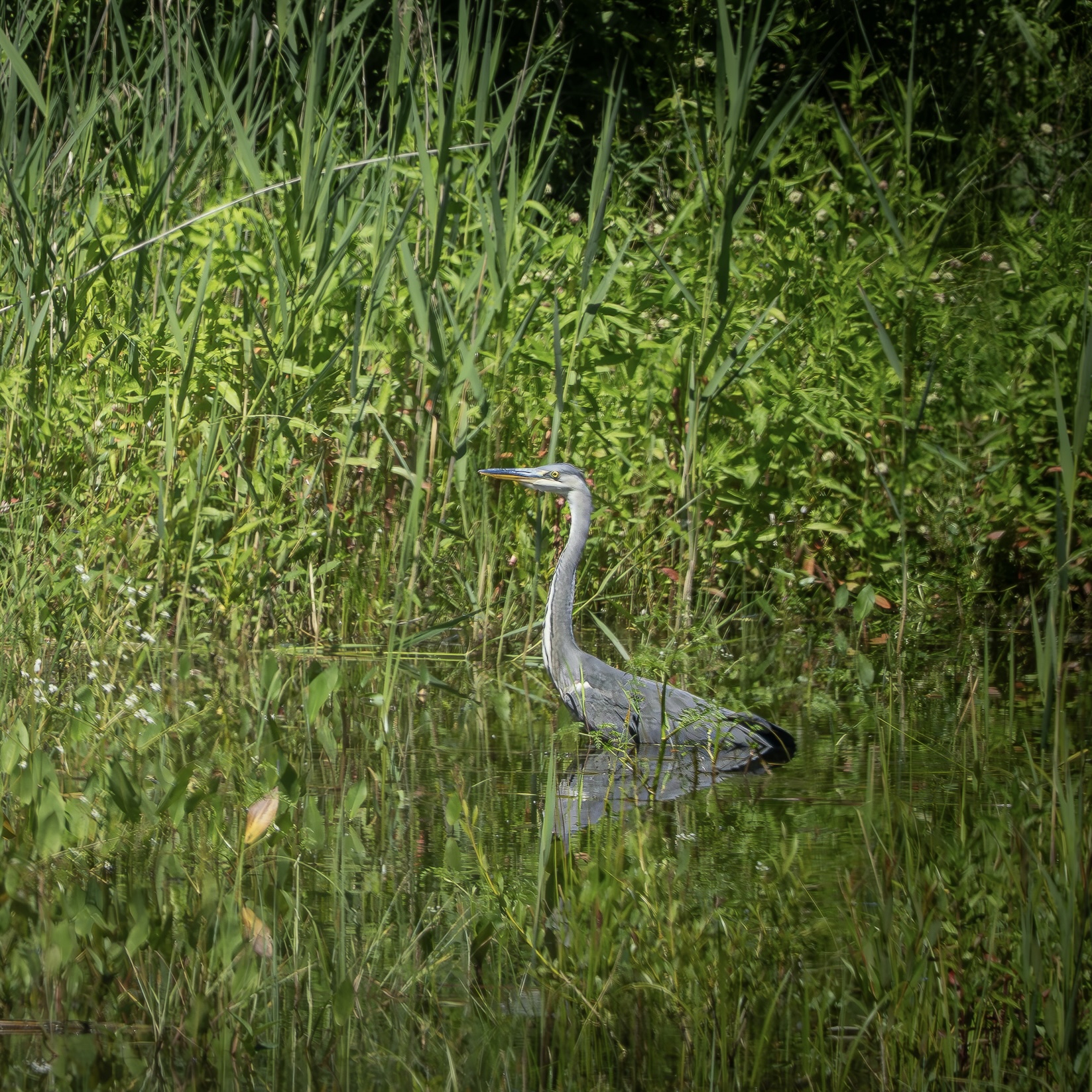 P6203813